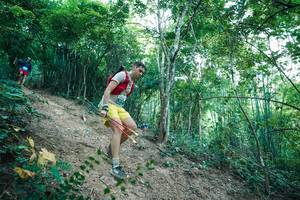 BIB: 
                            <button type="button" onclick="openModal(28161569)" class="btn btn-primary btn-sm float-right btn-popup" data-toggle="modal" data-target=".modal-high-quality">
                        <i class="fas fa-shopping-cart"></i> Add to Cart
                    </button>
                                            <button type="button" onclick="isThisMe(28161569, true)" class="btn btn-success btn-sm float-right btn-popup btn-isme hidden" data-toggle="tooltip" data-placement="bottom" title="นี่คือรูปของคุณใช่ไหม คลิกที่นี่เพื่อเอาเข้าอัลบั้ม">
                        <i class="fas fa-plus"></i> Add to album
                    </button>
                    <button type="button" onclick="isThisMe(28161569, false)" class="btn btn-warning btn-sm float-right btn-popup btn-isnotme hidden">
                        <i class="fas fa-ban"></i> Remove from album
                    </button>